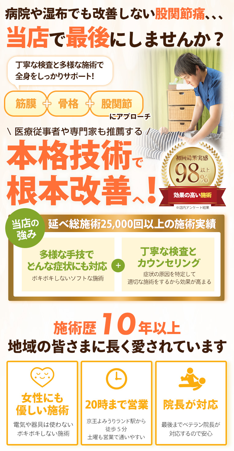 FV_股関節_sp