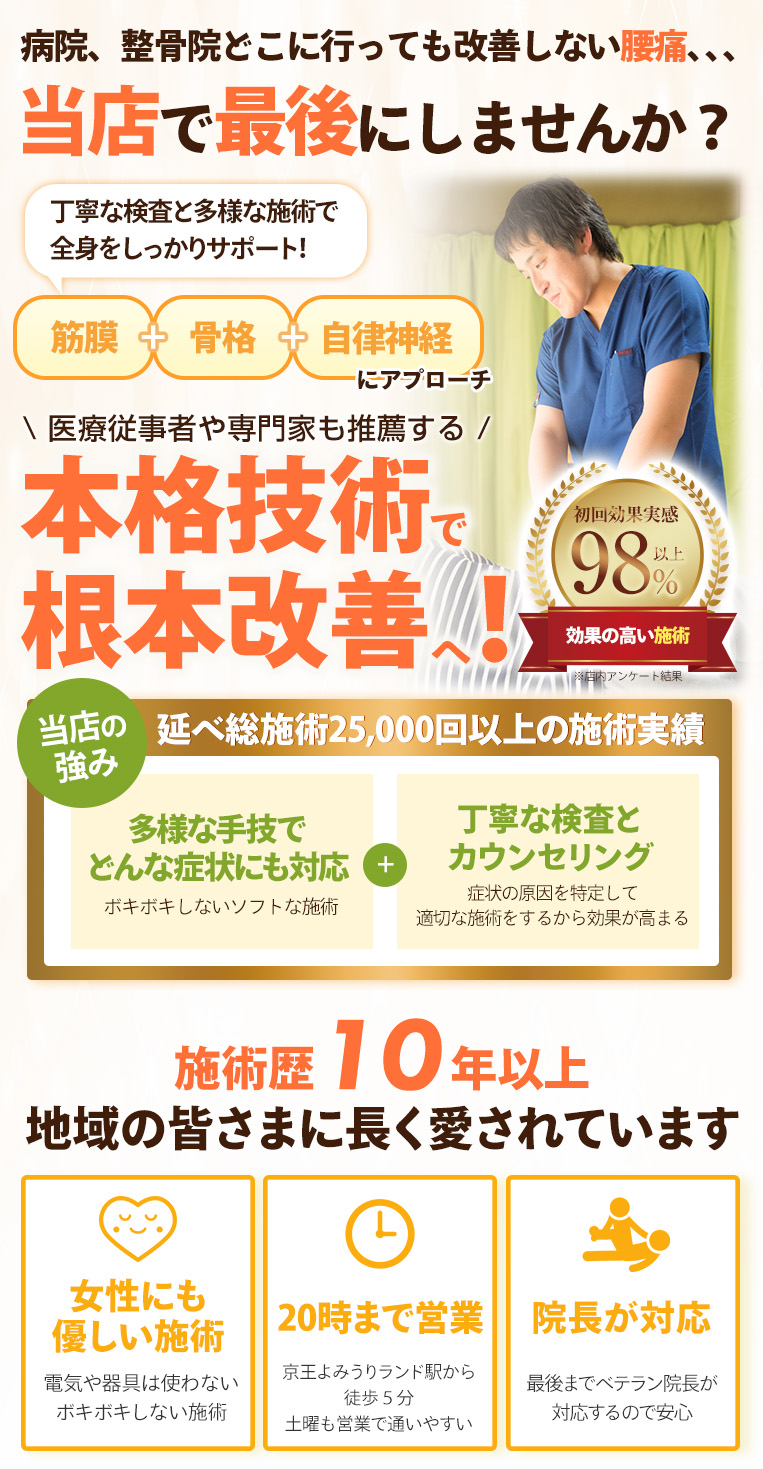 FV_腰痛_sp